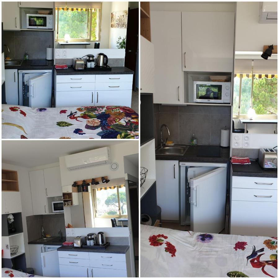 Garden And Beach Sea View Apartment Cannes Mandelieu エクステリア 写真