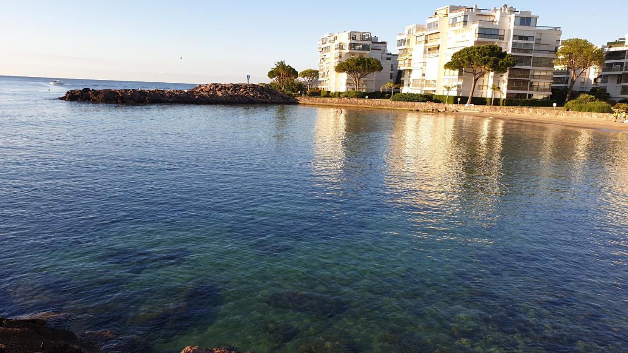Garden And Beach Sea View Apartment Cannes Mandelieu エクステリア 写真