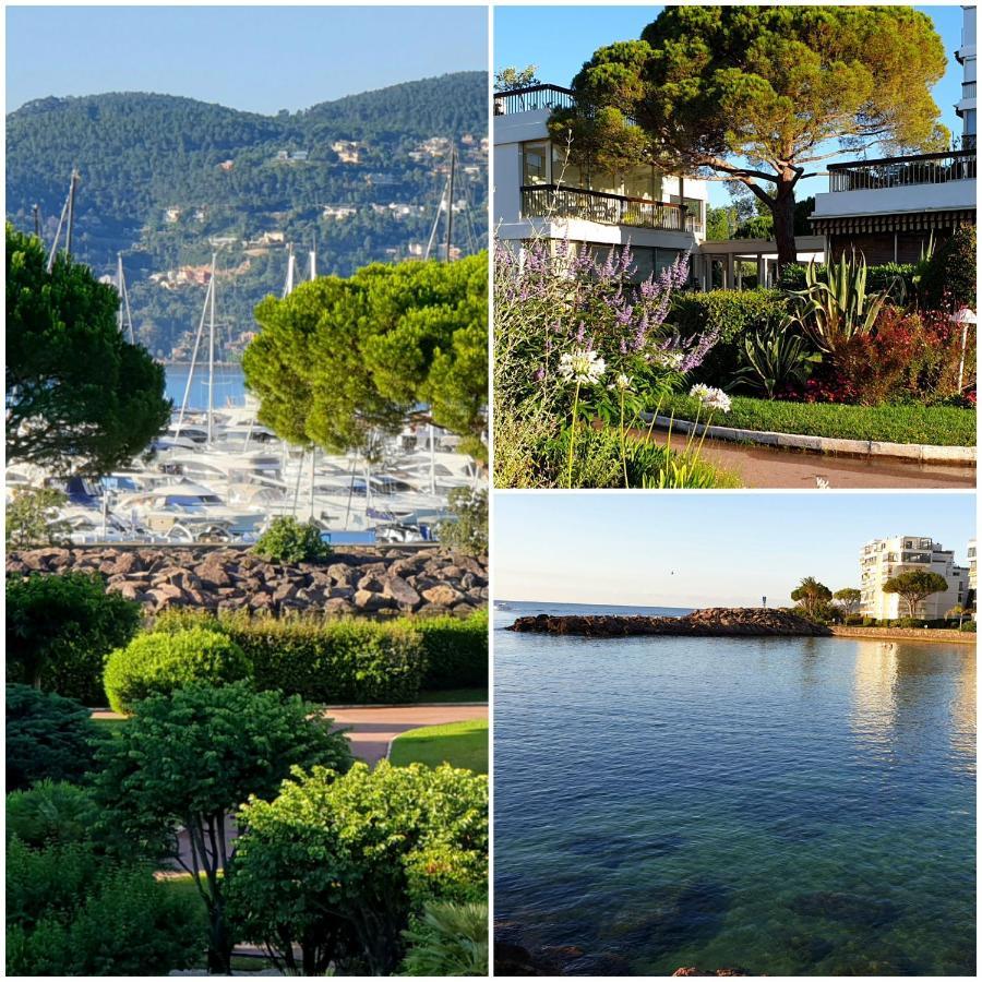 Garden And Beach Sea View Apartment Cannes Mandelieu エクステリア 写真